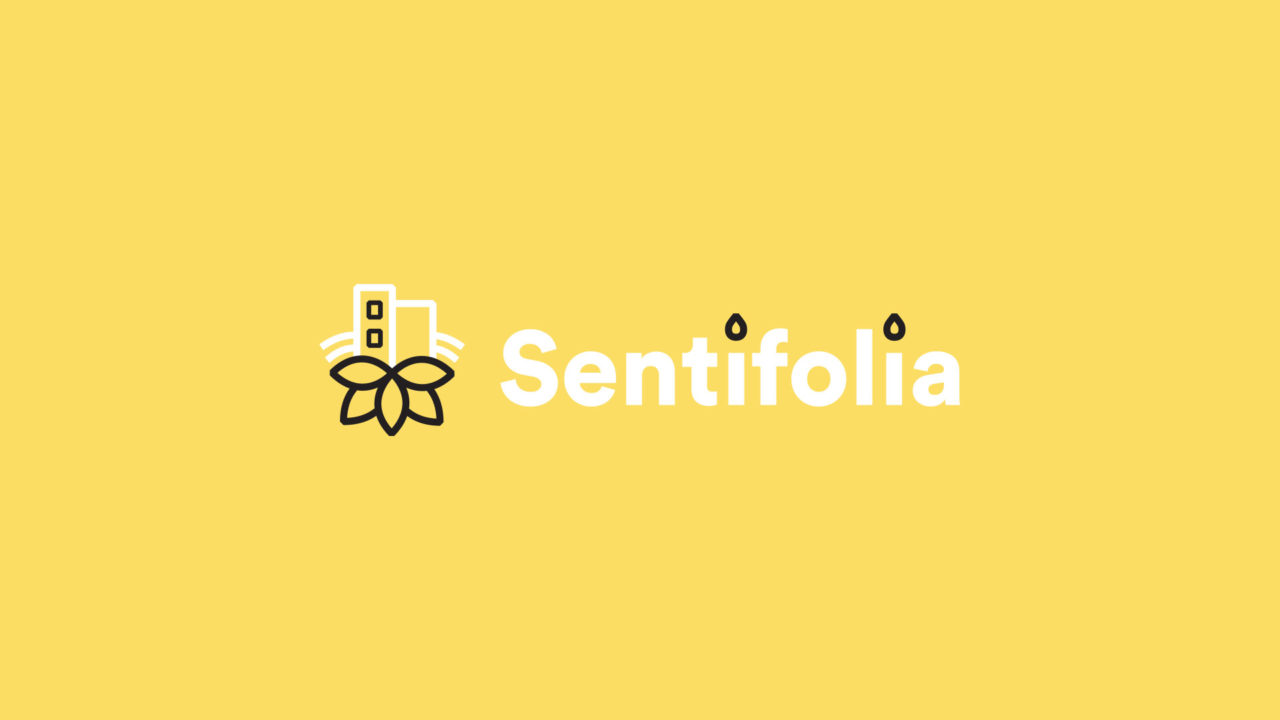 Logo sentifolia - Chloe Bis - Graphiste Webdesigner